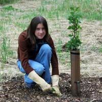 University Student Volunteering